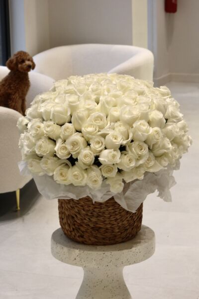 Kosz z białych róż