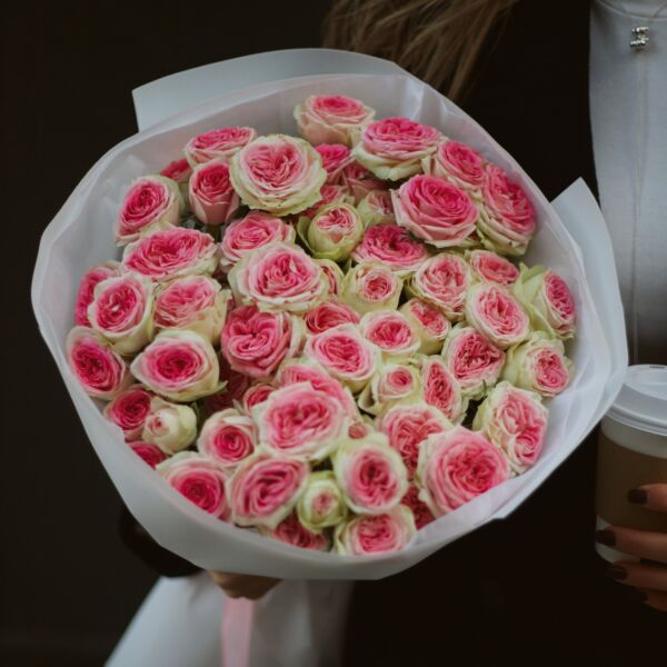 Róża gałązkowa Gelato